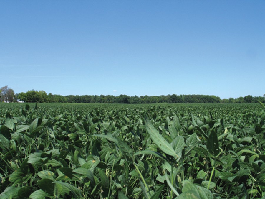 78+/- Acres Offered in 2 Tracts - Real Estate Auction